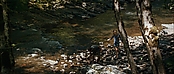 theriverwhy19260.jpg