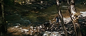 theriverwhy19261.jpg