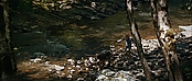 theriverwhy19264.jpg