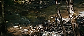 theriverwhy19266.jpg