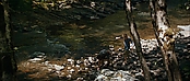 theriverwhy19267.jpg