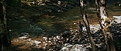 theriverwhy19268.jpg