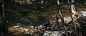 theriverwhy19269.jpg