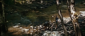 theriverwhy19270.jpg