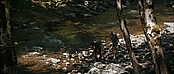 theriverwhy19279.jpg