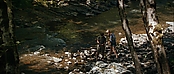 theriverwhy19296.jpg