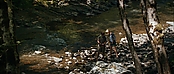 theriverwhy19300.jpg