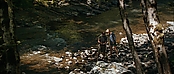 theriverwhy19304.jpg