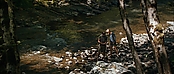theriverwhy19305.jpg