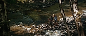 theriverwhy19307.jpg