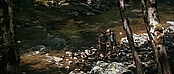 theriverwhy19308.jpg