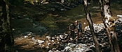 theriverwhy19310.jpg