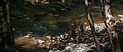 theriverwhy19318.jpg