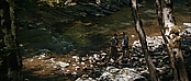 theriverwhy19324.jpg