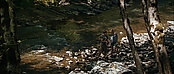 theriverwhy19334.jpg