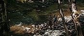 theriverwhy19335.jpg