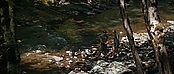 theriverwhy19365.jpg