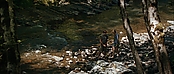 theriverwhy19367.jpg