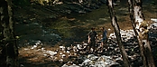 theriverwhy19381.jpg