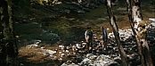 theriverwhy19411.jpg