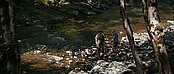Filename=theriverwhy19424.jpg
Filesize=473KiB
Dimensions=1920x816
Date added=Apr 25, 2021 theriverwhy19424.jpg