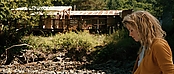 theriverwhy19944.jpg