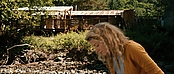 theriverwhy19960.jpg