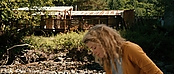 theriverwhy19961.jpg