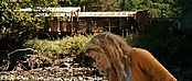 theriverwhy19963.jpg