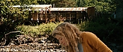 theriverwhy19964.jpg