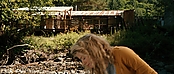 theriverwhy19965.jpg