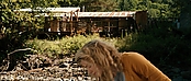 theriverwhy19966.jpg