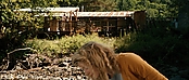 theriverwhy19967.jpg