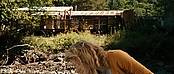 theriverwhy19968.jpg