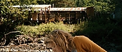 theriverwhy19969.jpg