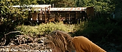 theriverwhy19970.jpg