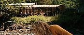 theriverwhy19971.jpg