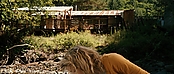 theriverwhy19979.jpg