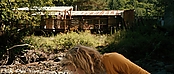 theriverwhy19980.jpg