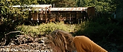 theriverwhy19982.jpg