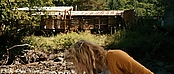 theriverwhy19983.jpg