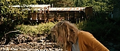 theriverwhy19986.jpg