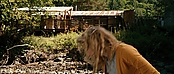 theriverwhy19987.jpg