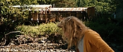 theriverwhy19988.jpg