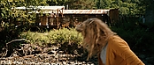 theriverwhy19989.jpg