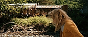 theriverwhy19991.jpg