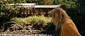 theriverwhy19992.jpg