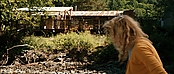 theriverwhy19993.jpg