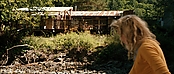 theriverwhy19995.jpg