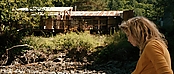 theriverwhy20000.jpg